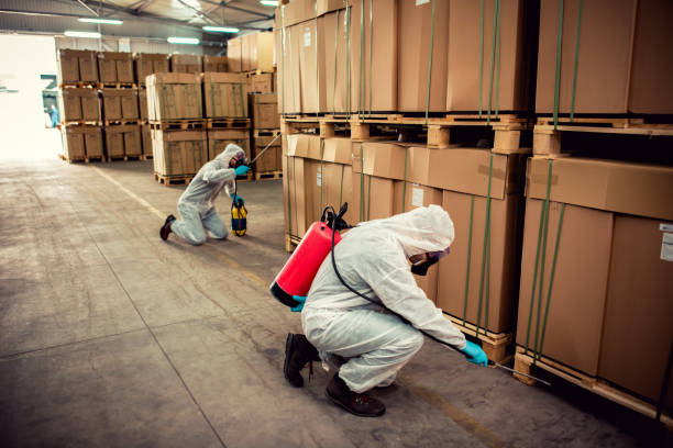 Best Affordable Pest Control Services  in Landen, OH