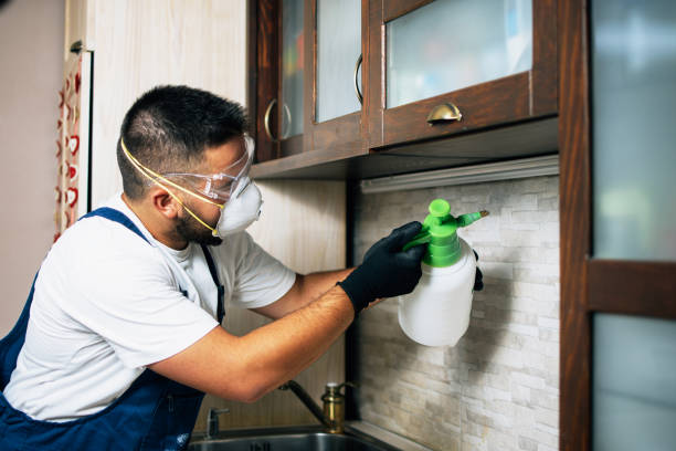 Best Termite Control Services  in Landen, OH
