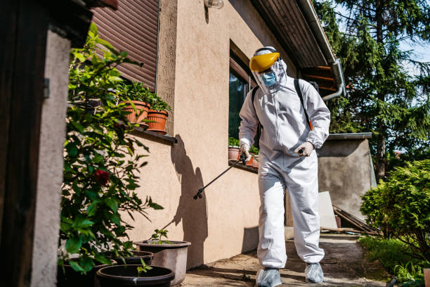 Wasp Removal Services in Landen, OH
