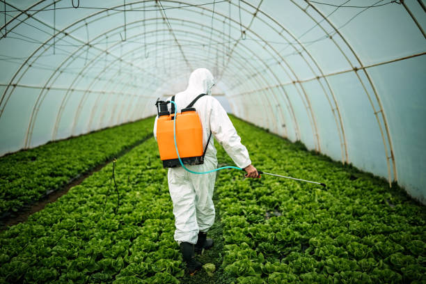 Best Pest Removal Services  in Landen, OH