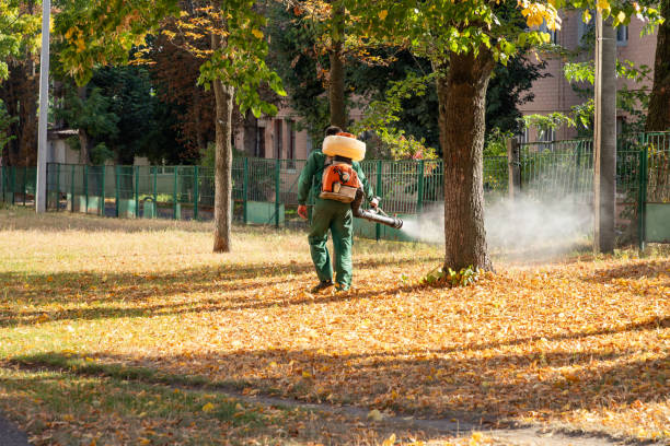 Best Pest Control Treatment  in Landen, OH