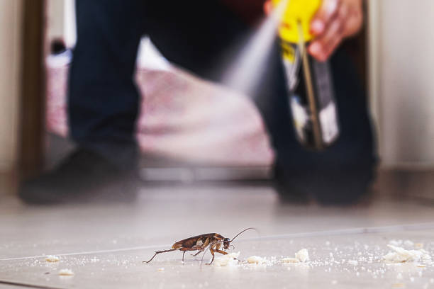 Best Commercial Pest Control Services  in Landen, OH