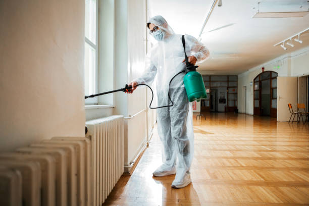 Best Wasp Removal Services  in Landen, OH
