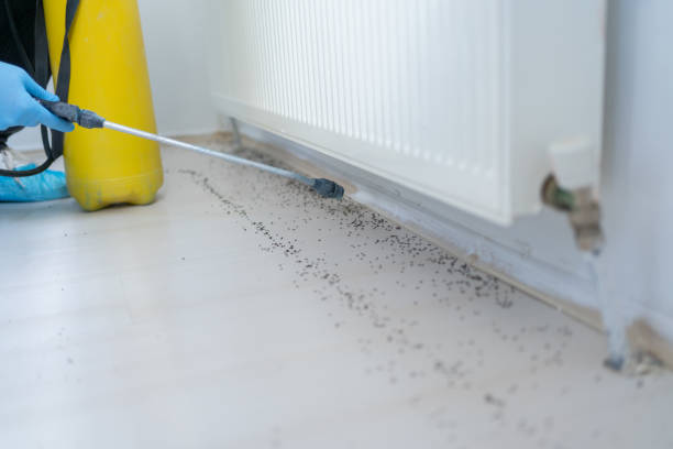 Best Emergency Pest Control  in Landen, OH