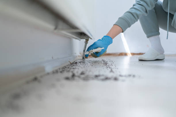 Best Rat Extermination Near Me  in Landen, OH